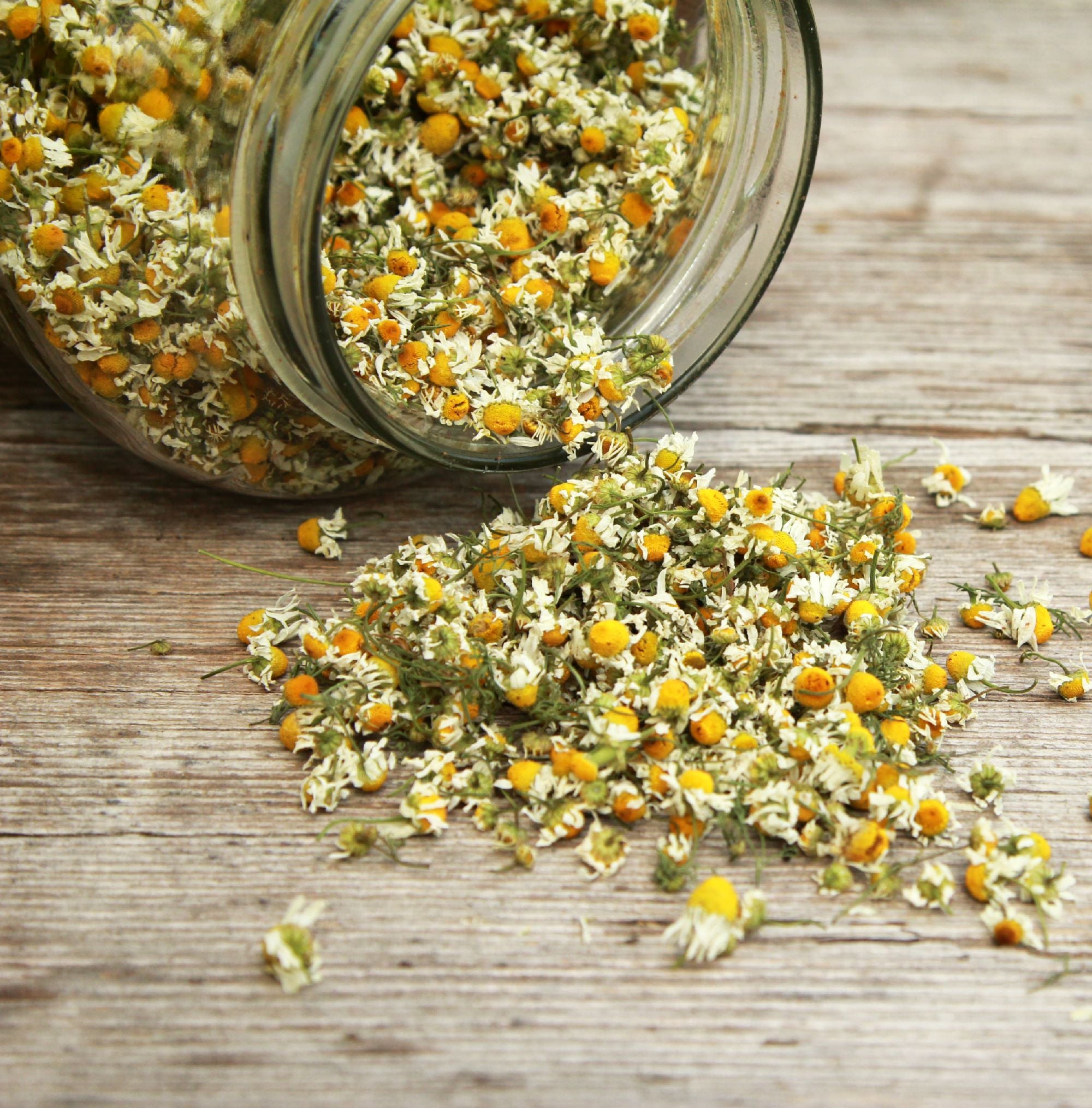 Chamomile Benefits for Skin