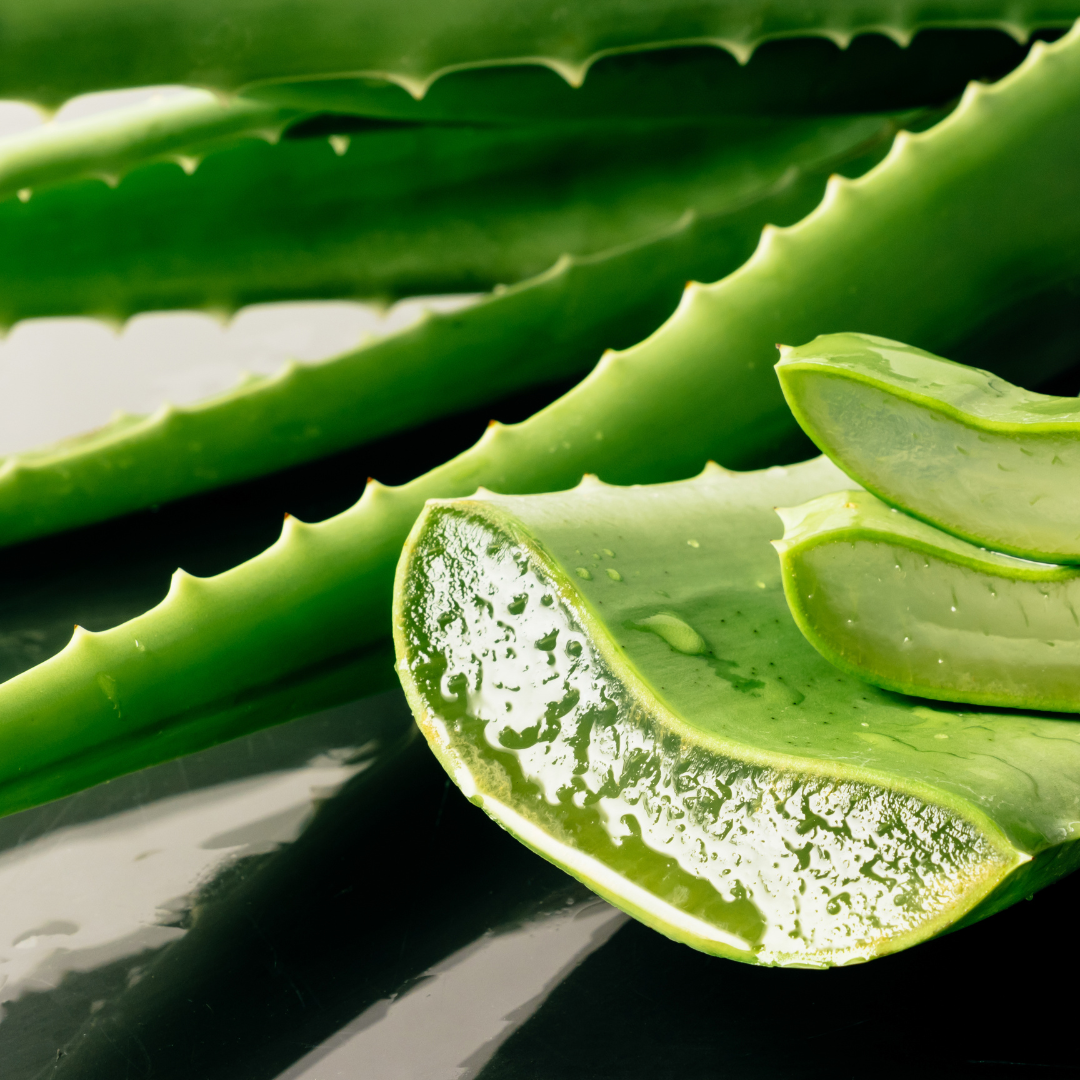 Aloe Vera for Acne & Acne Scars – Benefits and How to Use It