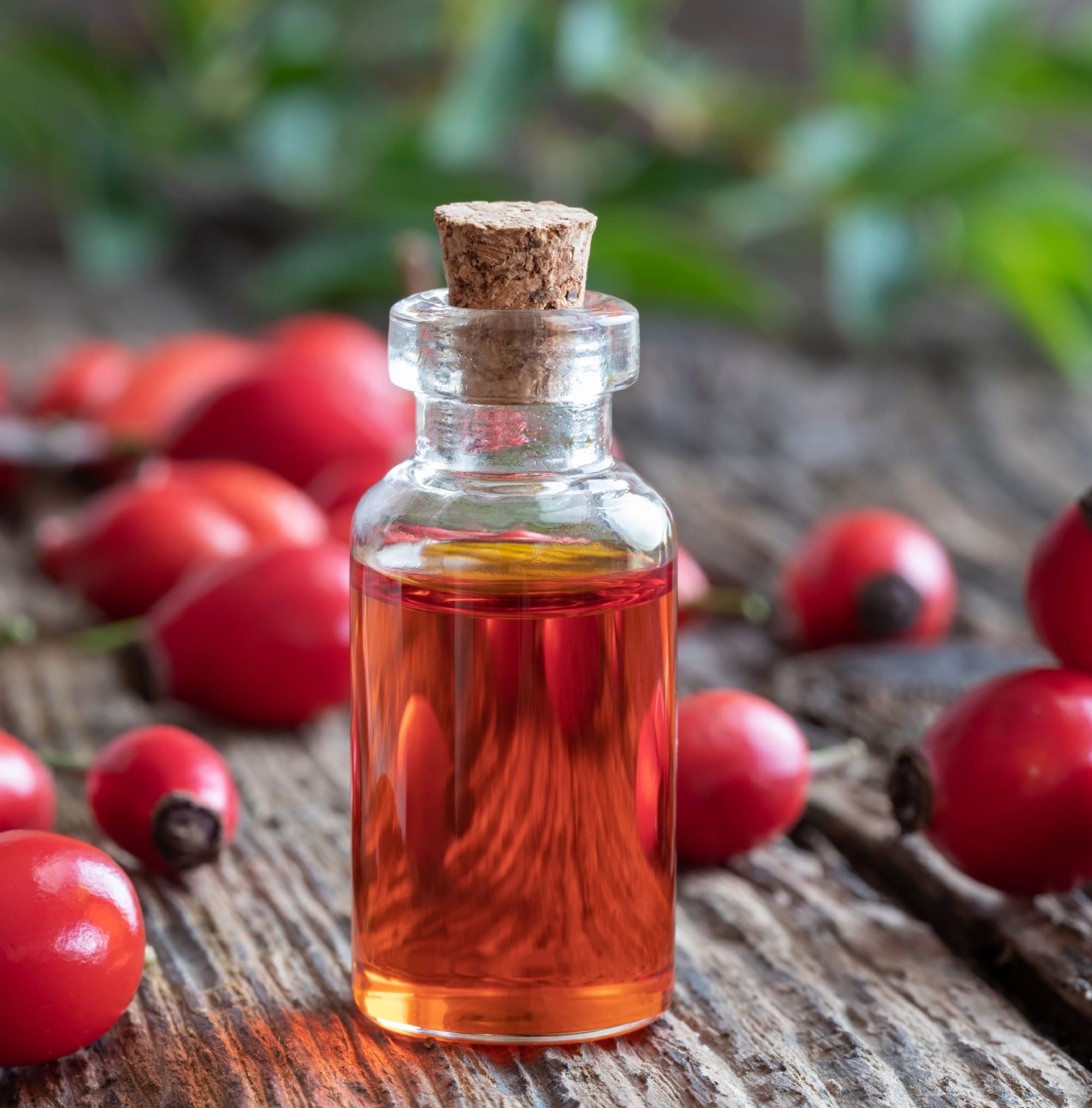 Rosehip Oil- How To Include It In Your Skin Care Routine + Benefits